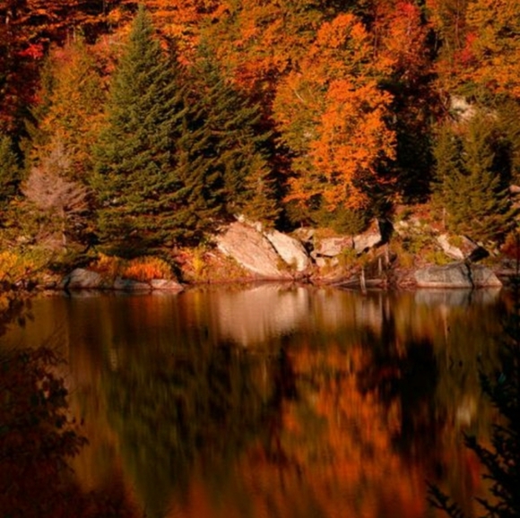 Meet your Posher, Michelle - Picture 6 of 8